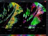 A0813656-EE8B-4293-B35B-FF2A258DA3E0.jpeg
