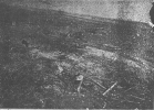 19250318CROSSVILLE.PNG 19250318CROSSVILLE.PNG