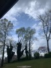 900CAC9D-7FDF-4404-8479-AD6AC9A76B64.jpeg