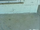 IMG_0912.jpeg