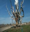 IMG_0757.jpeg