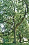 IMG_2081.jpeg