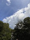 IMG_7967.jpeg