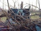 IMG_9541.jpeg