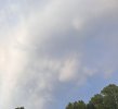 IMG_4038.jpeg