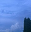 IMG_6429.jpeg
