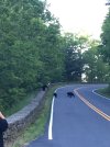 20180604_131357264_iOS.jpeg