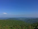 20180620_050937017_iOS.jpeg