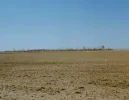 dmg 3-ground.webp
