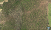 1755705055402.png