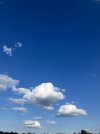 IMG_8411.jpeg