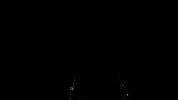 GX010478.MP4.23_30_54_13.Still002.jpg