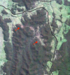 snapshot braidwood copy.png