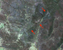 snapshot badja copy.png