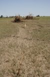 IMG_2466.jpeg