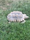 IMG_8662.jpeg