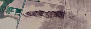 1758607895951.png