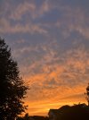 IMG_9296.jpeg