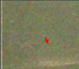 1759433703328.png