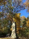 IMG_4169.jpeg