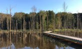 IMG_7377.jpeg