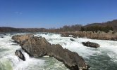 IMG_7375.jpeg