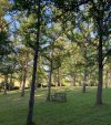 IMG_7376.jpeg