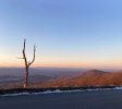 IMG_7386.jpeg
