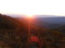 IMG_7388.jpeg