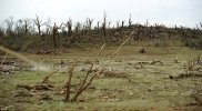 288B022100000578-3076379-Debris_lines_a_tornado_s_path_of_destruction_after_a_deadly_stor-a-41...jpg