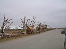 IMG_0099.jpeg