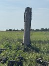 IMG_4313.jpeg