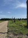 IMG_4312.jpeg