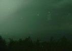 IMG_0503.jpeg