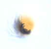 1761507333019.png