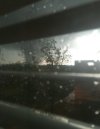 IMG_0975.jpeg