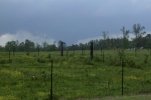 IMG_0990.jpeg