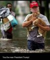 trump-cats.jpg