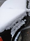 compressed-9w6w.jpg