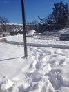 snow1.jpg