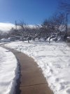 snow2.jpg