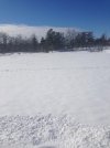 snow3.jpg