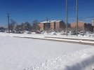 snow4.jpg