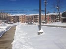 snow5.jpg