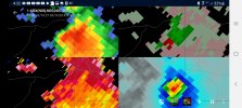 Screenshot_20210811-163240_wX.jpg