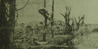 19730110SANJUSTO19.PNG