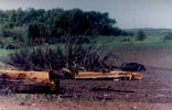 Chandler-F5-damage-debris.JPG