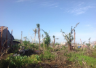 Screenshot 2021-09-13 at 15-51-56 iCyclone_HAIYAN_Wind_Damage_Images zip.png Screenshot 2021-09-13 at 15-51-56 iCyclone_HAIYAN_Wind_Damage_Images zip.png