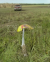 Screenshot 2021-09-16 at 15-45-20 Westminster, TX Damage Photos.png