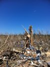 Smithville_4.jpg